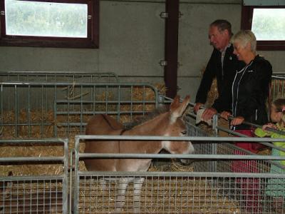 Afbeelding 122